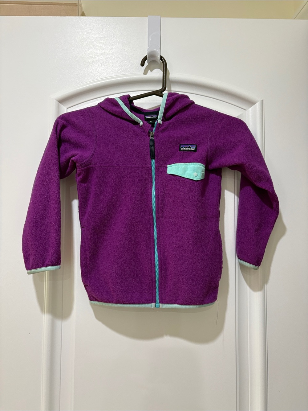Patagonia Purple Fleece Hoodie with Mint Trim